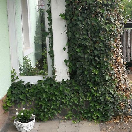Appartement Eifel Im Haus Sybille Kelberg Ngoại thất bức ảnh