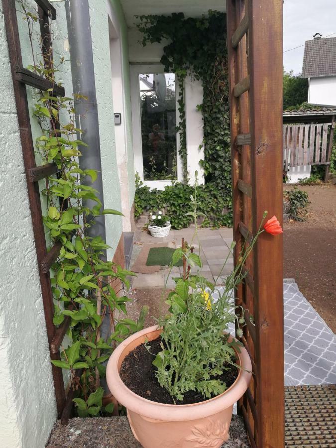 Appartement Eifel Im Haus Sybille Kelberg Ngoại thất bức ảnh